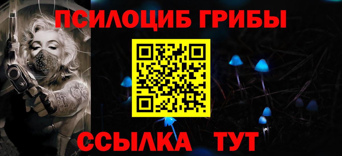 Галлюциногенные грибы Psilocybe  Вход с VPN  Миллерово  Псилоцибиновые грибы GOLDEN TEACHER 